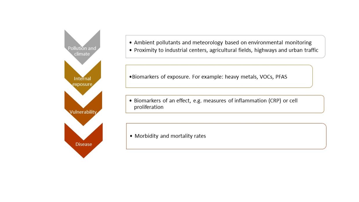 oxidative stress